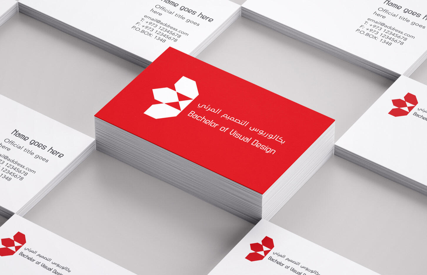 BVIS Branding